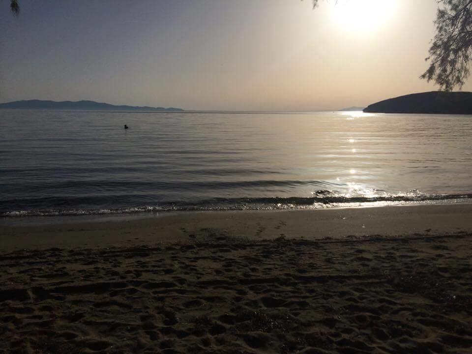 Elia Apartments Agios Romanos Экстерьер фото