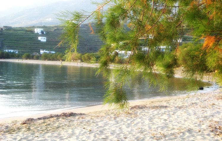 Elia Apartments Agios Romanos Экстерьер фото